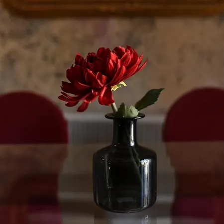 Brancovenian Elegance & Modern Comfort - Stunning 3br Near Cismigiu 公寓
